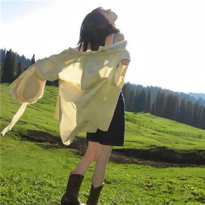 狮子护卫队第一季